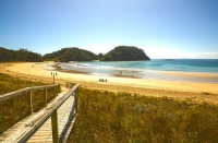 Matapouri;Northland;sandy_beaches;bachs;holiday_homes;bush;native_forrest;golden